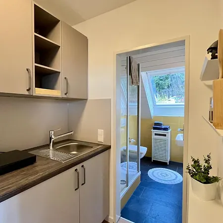 Falkennest - Mit Blick Auf Den Titisee By Interhome * Rotwasser