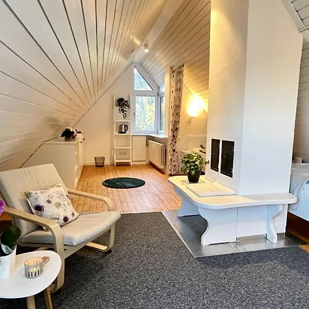 Falkennest - Mit Blick Auf Den Titisee By Interhome Appartement Rotwasser